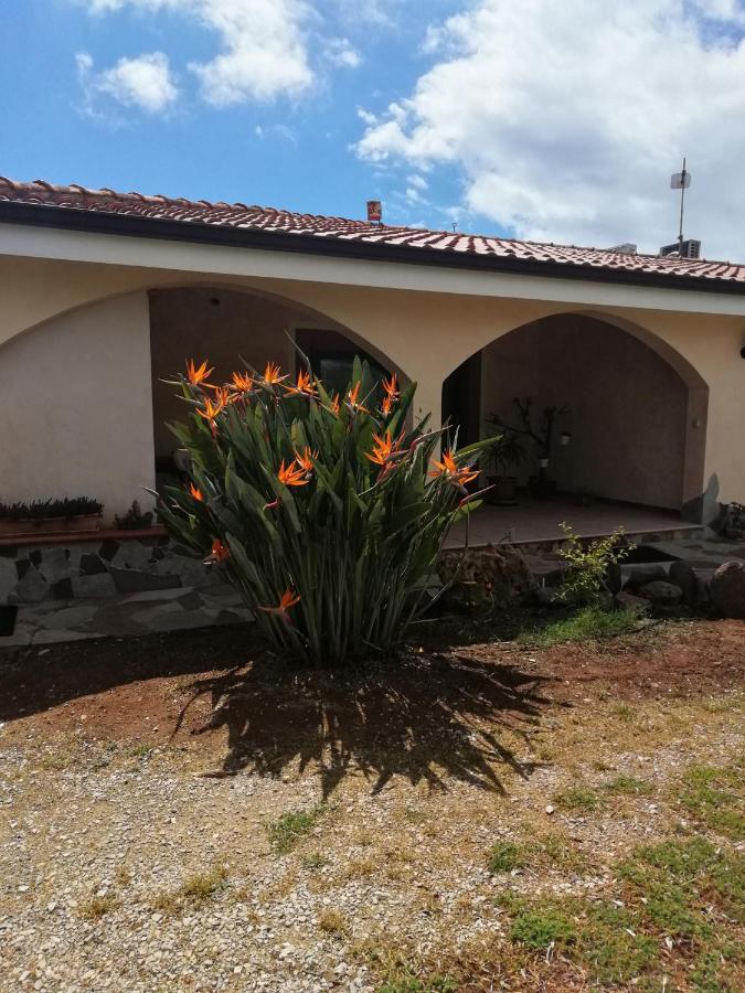 Da Patrizia Bed & Breakfast Alghero Eksteriør bilde